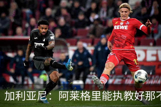 加利亚尼：阿莱格里能执教好那不勒斯，他会根据队内球员制定战术